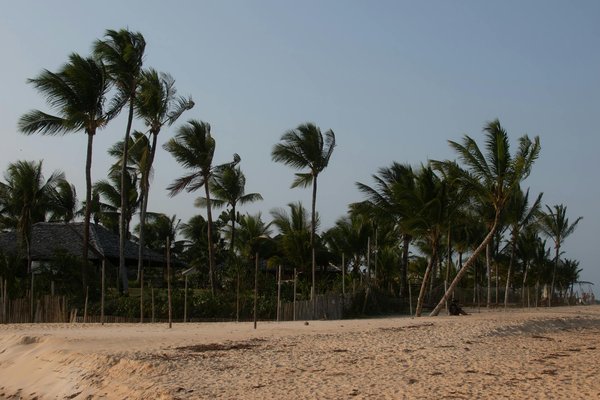 Croisières dans les Caraïbes